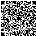 QR code with Pro Turf Inc contacts