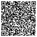 QR code with Amway contacts