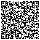 QR code with Premier Hifi contacts