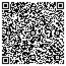 QR code with Cecilia L Fitzgerald contacts