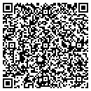 QR code with Chapman Construction contacts