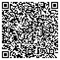 QR code with Designmine LLC contacts
