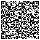 QR code with Cyrious Software Inc contacts