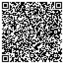 QR code with Baylis Dry Wall contacts