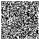 QR code with Premiere Software contacts