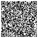 QR code with Premier Telecom contacts