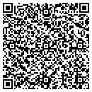 QR code with Pueblo Auto Gallery contacts