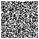 QR code with Cantrell Software Inc contacts