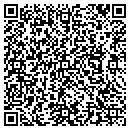 QR code with Cybersouth Networks contacts