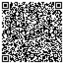 QR code with Pyrofusion contacts