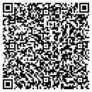 QR code with P2bconnect Com LLC contacts