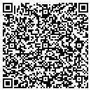 QR code with Premiere Aviation contacts