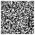 QR code with Ameeki Software L L C contacts
