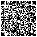 QR code with Premix Software LLC contacts