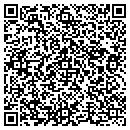 QR code with Carlton Adelphi LLC contacts