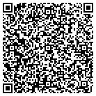 QR code with Professional Window Co contacts