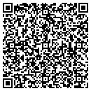 QR code with Premier Treatments contacts
