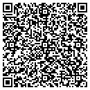 QR code with Cayuga Software Inc contacts