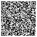 QR code with Pitch contacts
