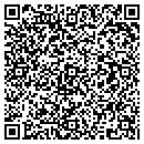 QR code with Bluesky Auto contacts