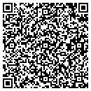 QR code with Baldwin Sons Drywall contacts