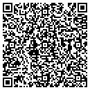 QR code with Pursestrings contacts
