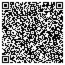 QR code with Capstone Software contacts