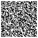 QR code with Public Library contacts