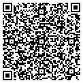 QR code with Infotree contacts