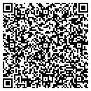 QR code with P2 Software contacts