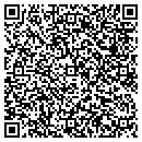 QR code with P3 Software Inc contacts