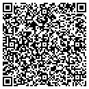 QR code with Process Dynamics Inc contacts