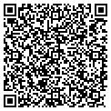 QR code with P Cattle contacts