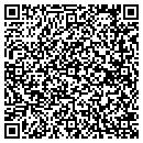 QR code with Cahill Dittrich Inc contacts