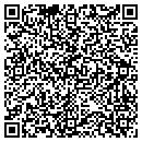 QR code with Carefree Interiors contacts