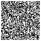 QR code with Brisendine Design Group contacts