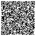 QR code with N Cattle contacts