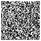 QR code with Professional Messenger contacts