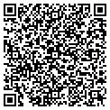 QR code with Dallek contacts