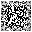 QR code with Pulse Systems Inc contacts