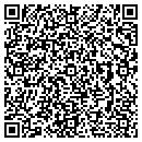 QR code with Carson Group contacts