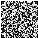 QR code with Price Auto Sales contacts