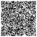 QR code with Professional Drywall contacts