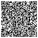 QR code with Team Hyundai contacts