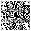 QR code with Punk Housekeeping contacts
