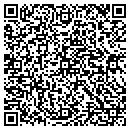 QR code with Cybage Software Inc contacts