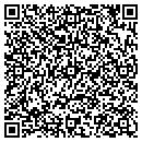 QR code with Ptl Chimney Sweep contacts