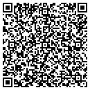 QR code with Pryamid Drywall Inc contacts