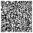 QR code with Pyramid Drywall contacts