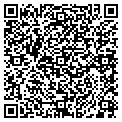 QR code with Dynamex contacts